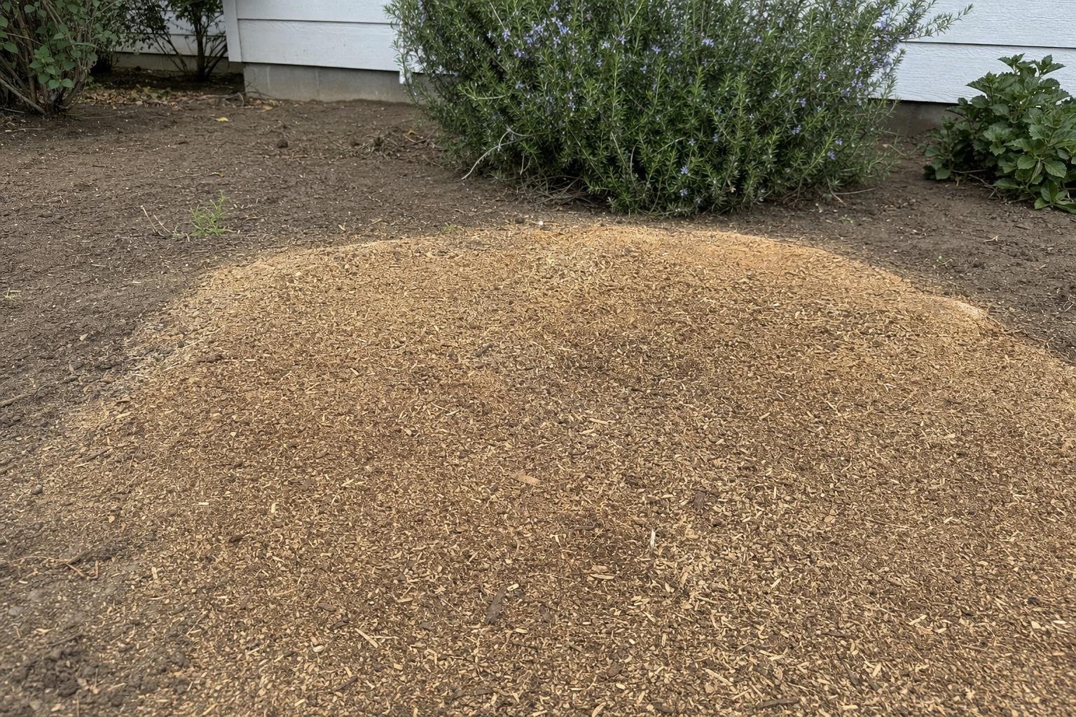 Example of stump grinding work