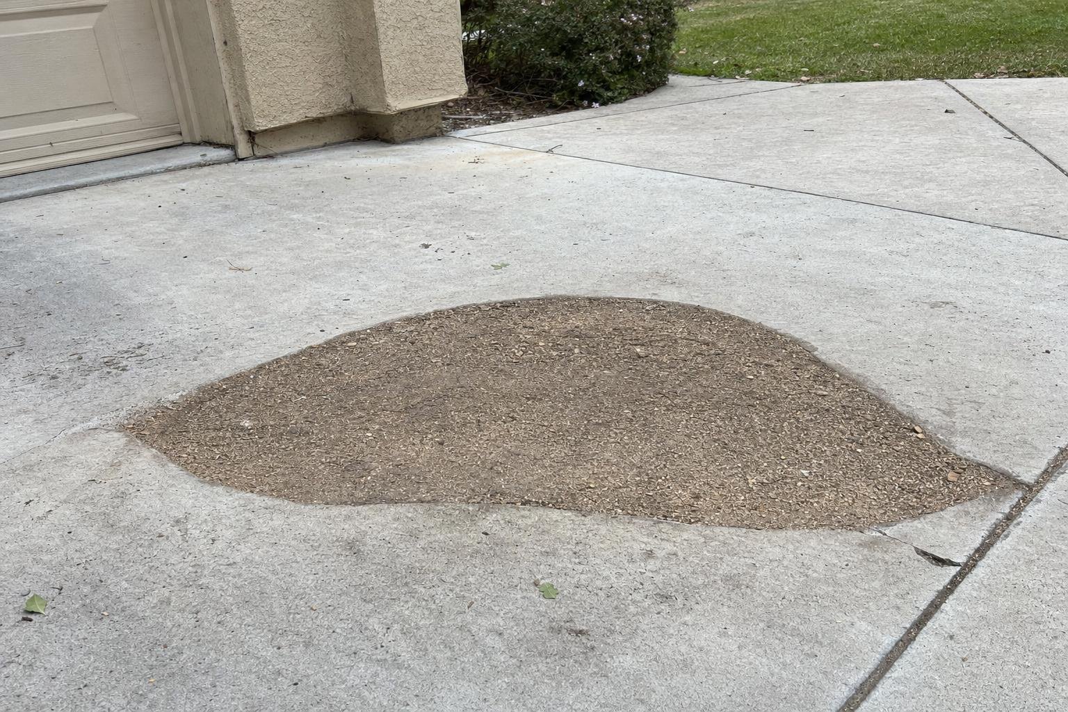 Tree removal, example photo