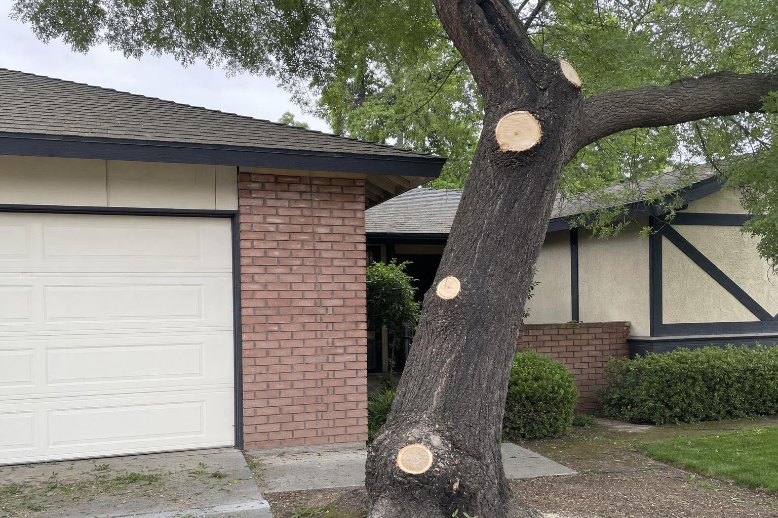 Illustrative image of tree service warning signs work